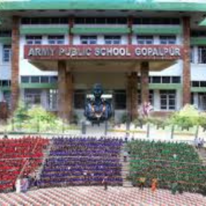 education 3