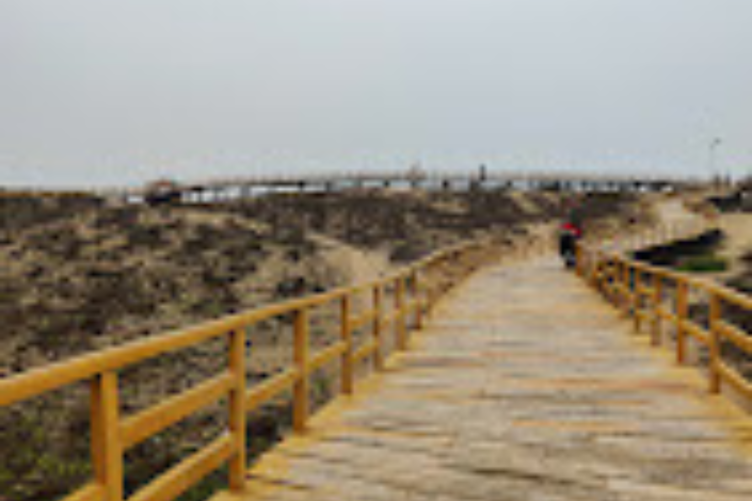 Gopalpur bridge